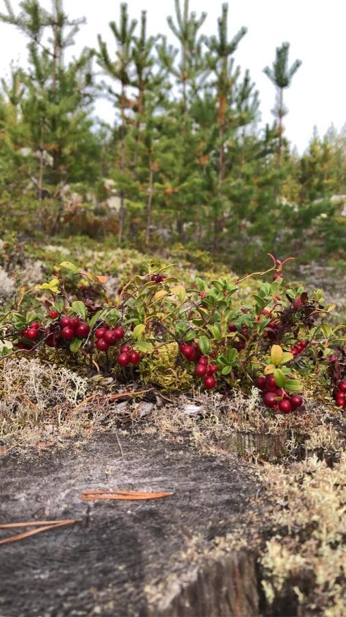 Glampingtaelt Hotel Torsby Buitenkant foto